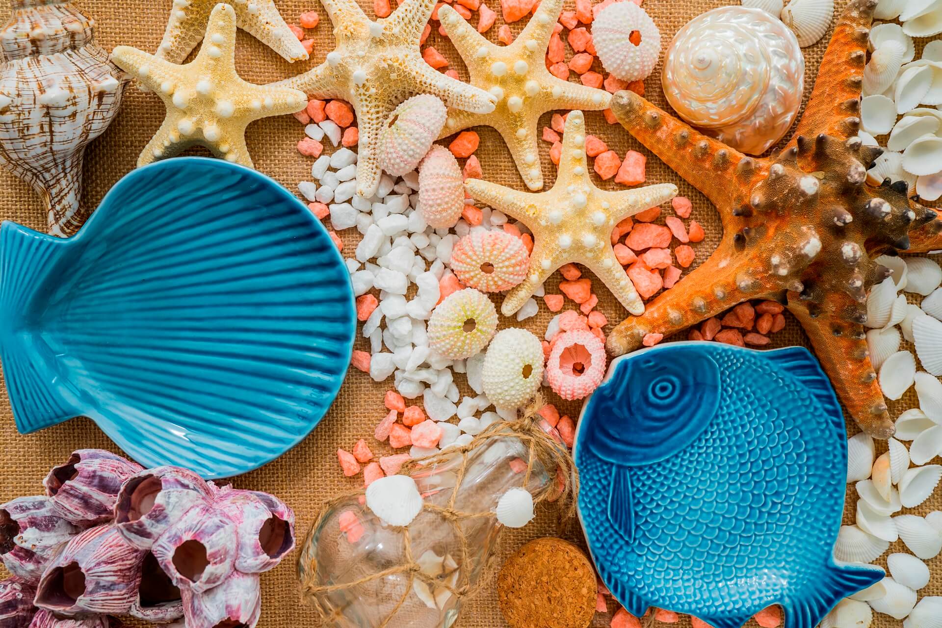 The Daily Habits of People Who Live Near the Sea