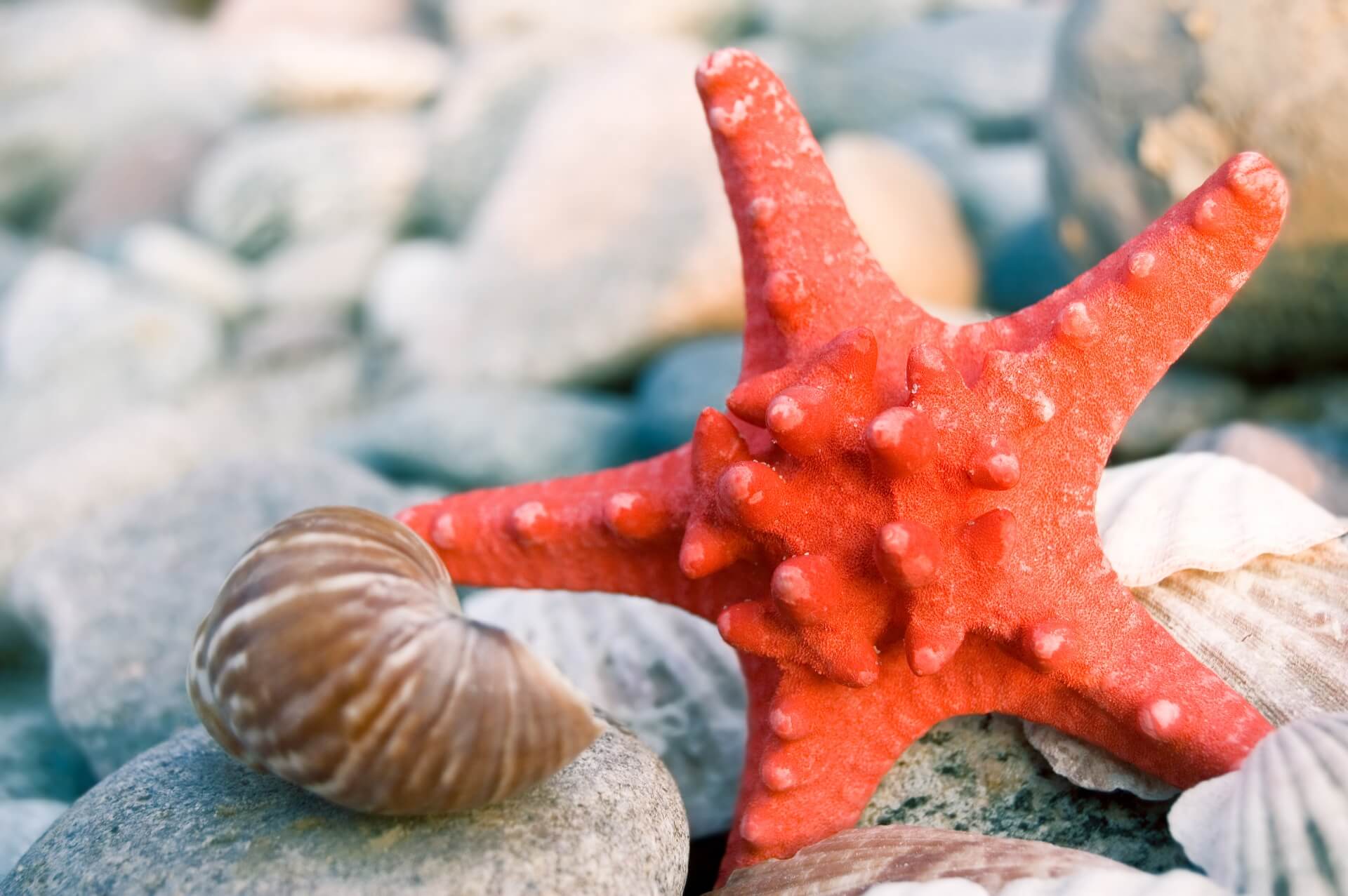 Why Life Feels Different by the Ocean