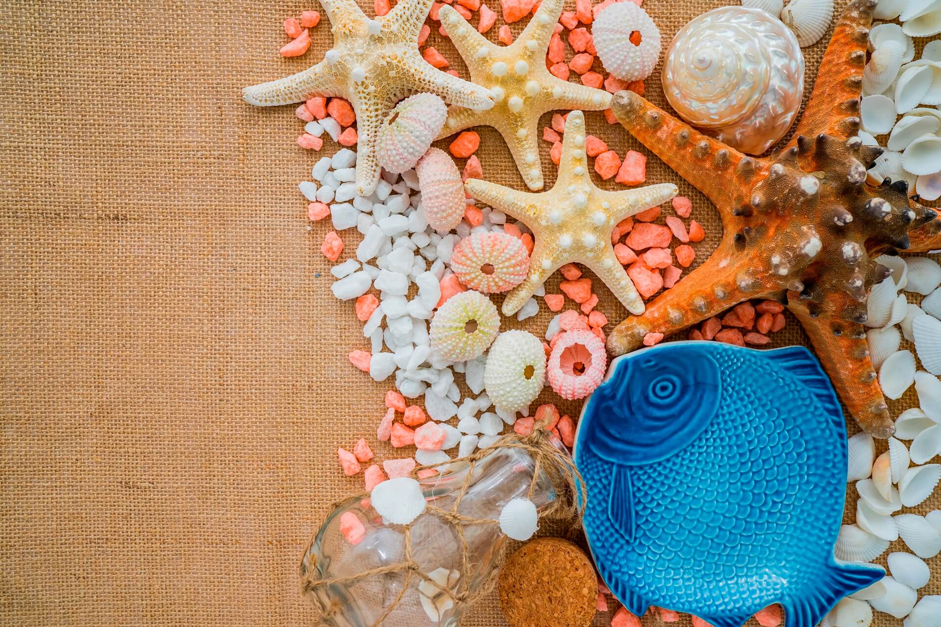 How to Bring Ocean Living Into Your Everyday Routine