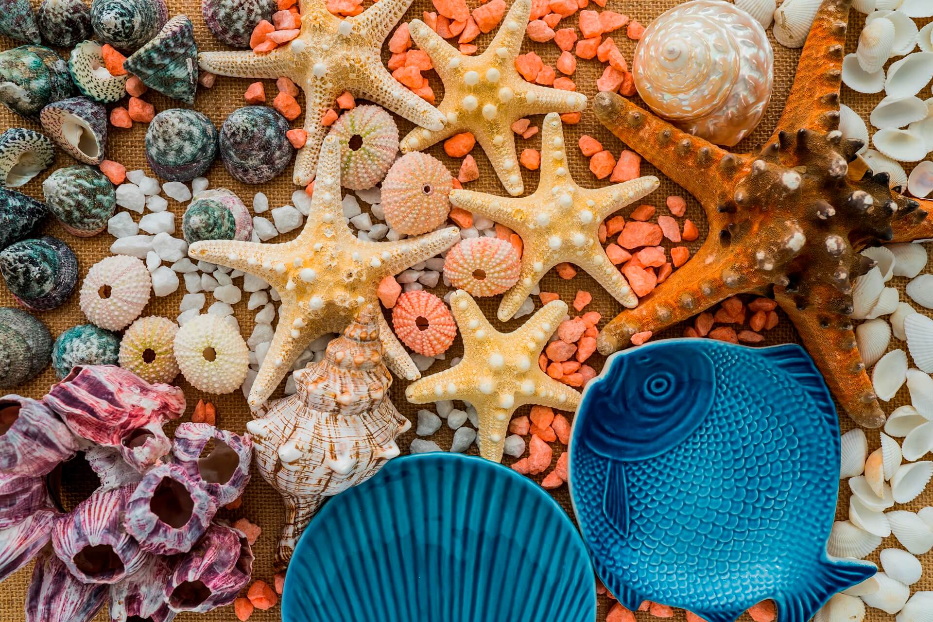 Ocean-Inspired Wellness Habits Worth Trying