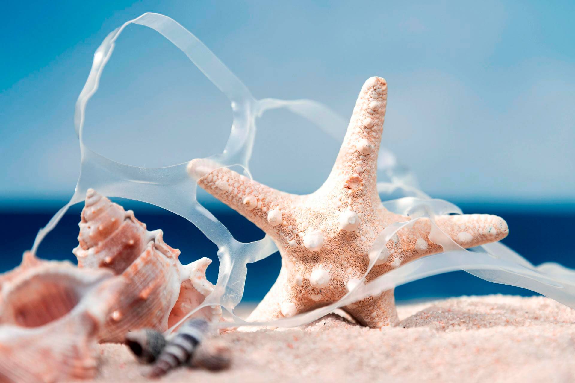 Why More People Dream About Living Near the Sea